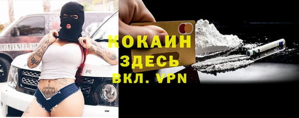 прущие грибы Белокуриха