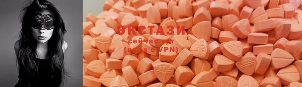 прущие грибы Белокуриха