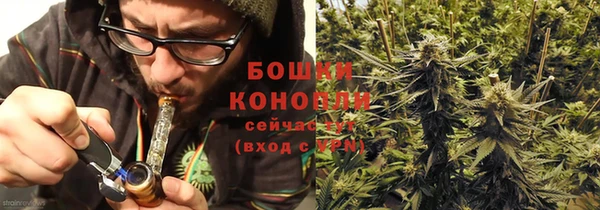 прущие грибы Белокуриха