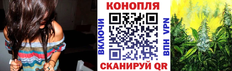 Канабис конопля  Кировград 